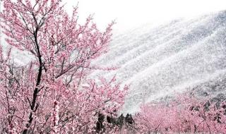 河南年后还会有雪吗 河南还要再下一场雪