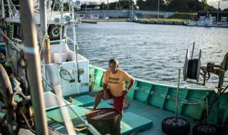 核污染水排海需要多长时间自净 第三轮核污染水排海将启动